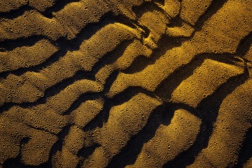 Golden Sands of Bandon I