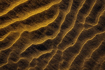 Golden Sands of Bandon III