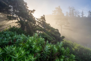 Morning Beaming