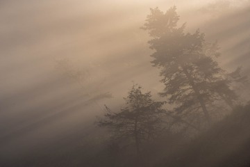 Uplifting Mist