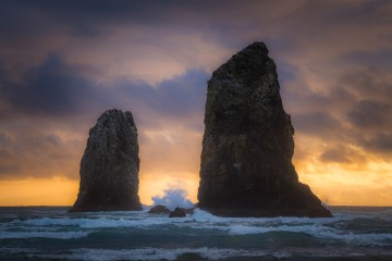 Twin Needles