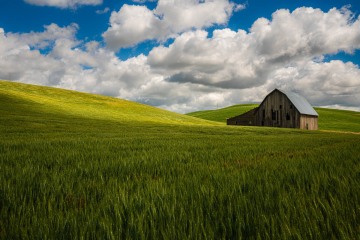 Lone Barn of Palouse #1