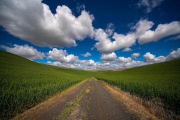 Back Country Roads