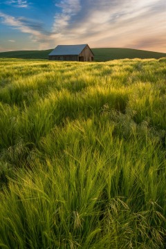 Still Standing
