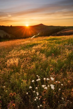 Steptoe Butte Sunset