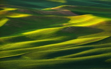 Morning Light on the Palouse