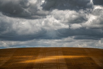 Fleeting Fields