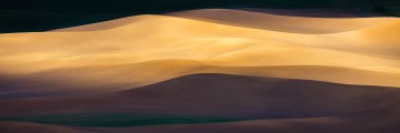 Golden Harvest