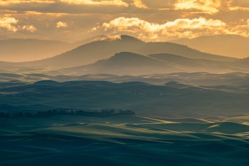 Palouse Hills Golden Sunrise
