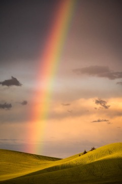 Palouse Rainbow #1