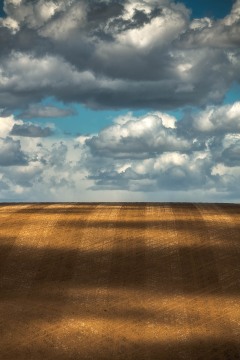Rural Rows