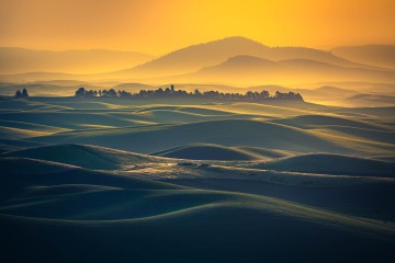 Golden Rolling