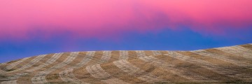 Sunset Glow Over the Harvest