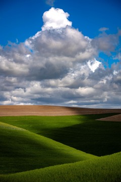 Shifting Patterns