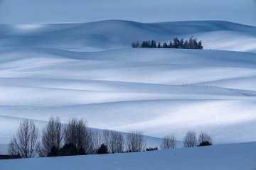 Winter Hills of Palouse