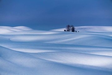 Winter's Calm