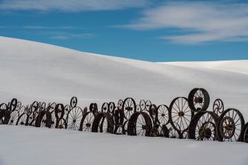 Wagonwheel Fence in Winter