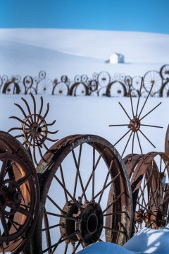 Winter Wheels in Palouse