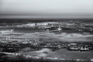 The Foggy Bay