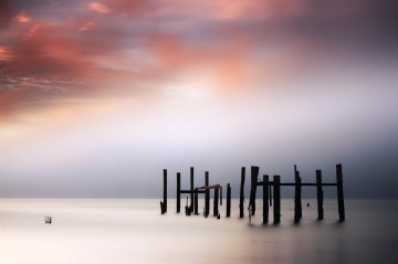 Morning Light