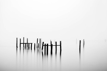 Duality