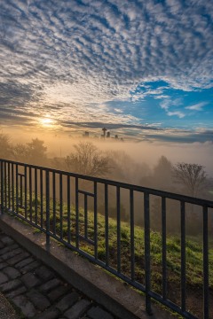 Misty Morning Seattle