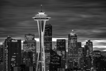 The Needle In White