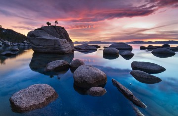 Bonsai Rock
