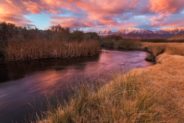 A Morning Along the Owen's River Under Autumn Light