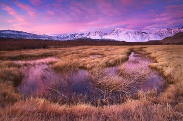 Dawn Light