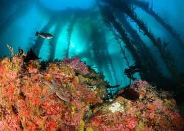 Granite Point Pinnacle