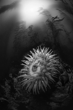 10 Fathoms
