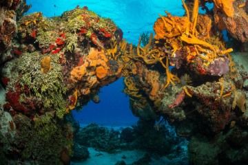 Underwater Arch in Cozumel