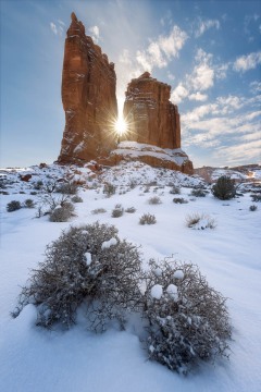 Winter Spires