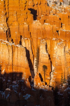 Transitioning Light