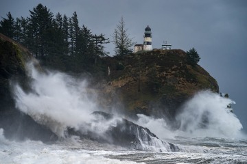 Battered Shores