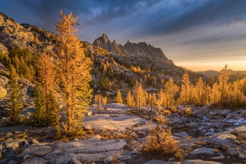 Enchanted Autumn
