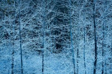 Winter's Chill