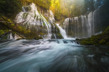 Bathed in Beauty