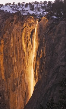 Liquid Sunshine