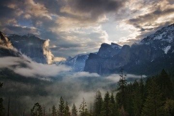 Misty Morning