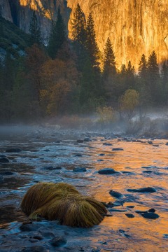 Evening Mist on the Merced