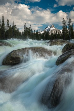 Tuolumne River in Spring