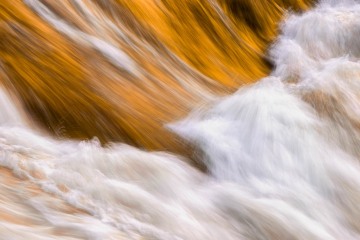 Gold Rush