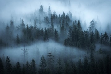 Forest's Breath