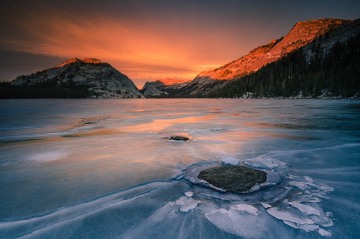 Winter's Reward