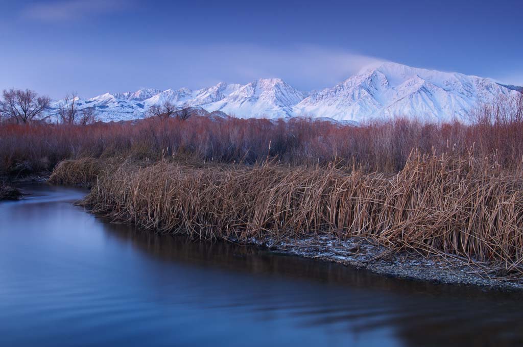 Aspens with fall color and sunburst in the Eastern Sierras of California Aspens with fall color and sunburst in the Eastern Sierras of California