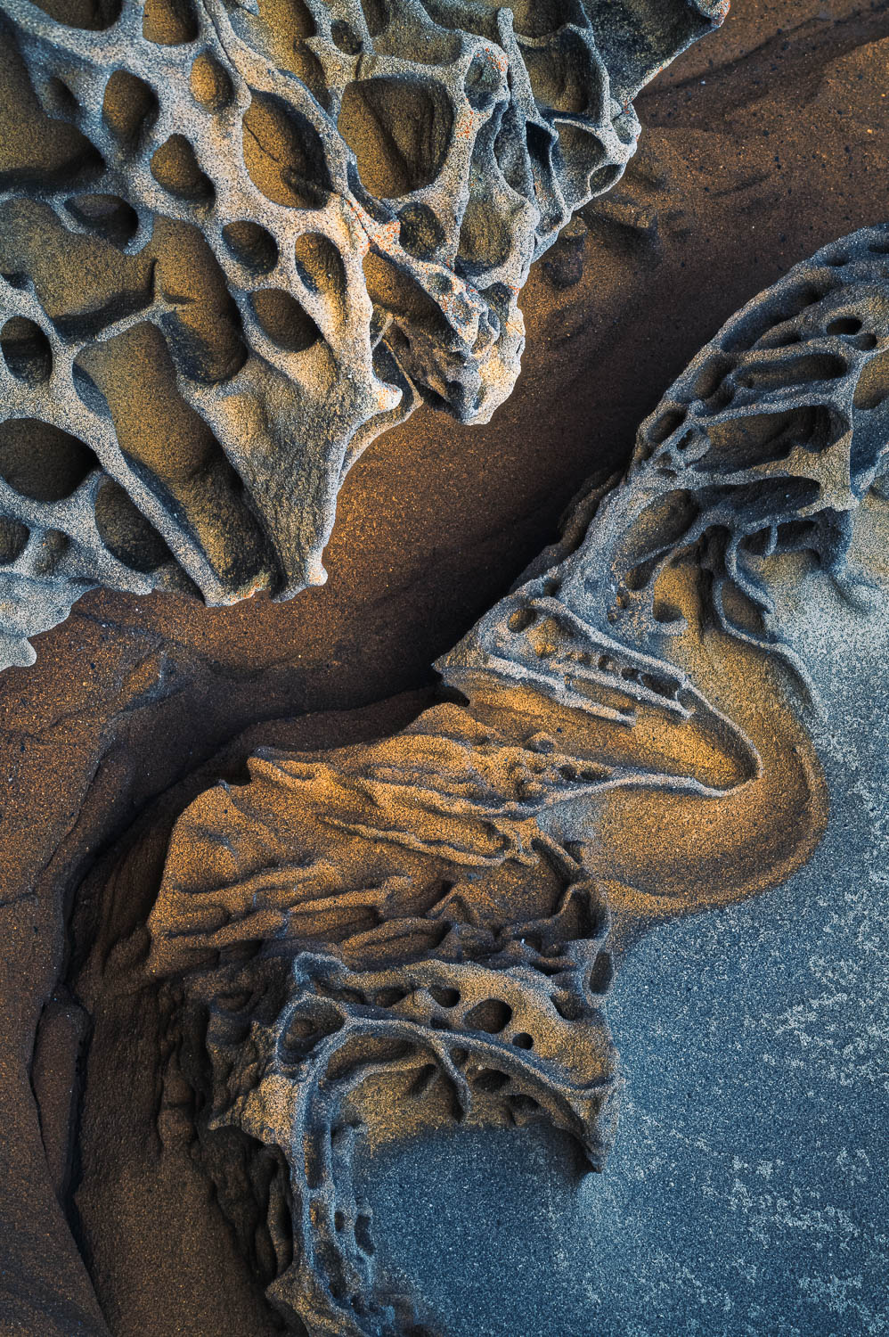 Face Off Two pitted and striated rock formations with almost facial features face off