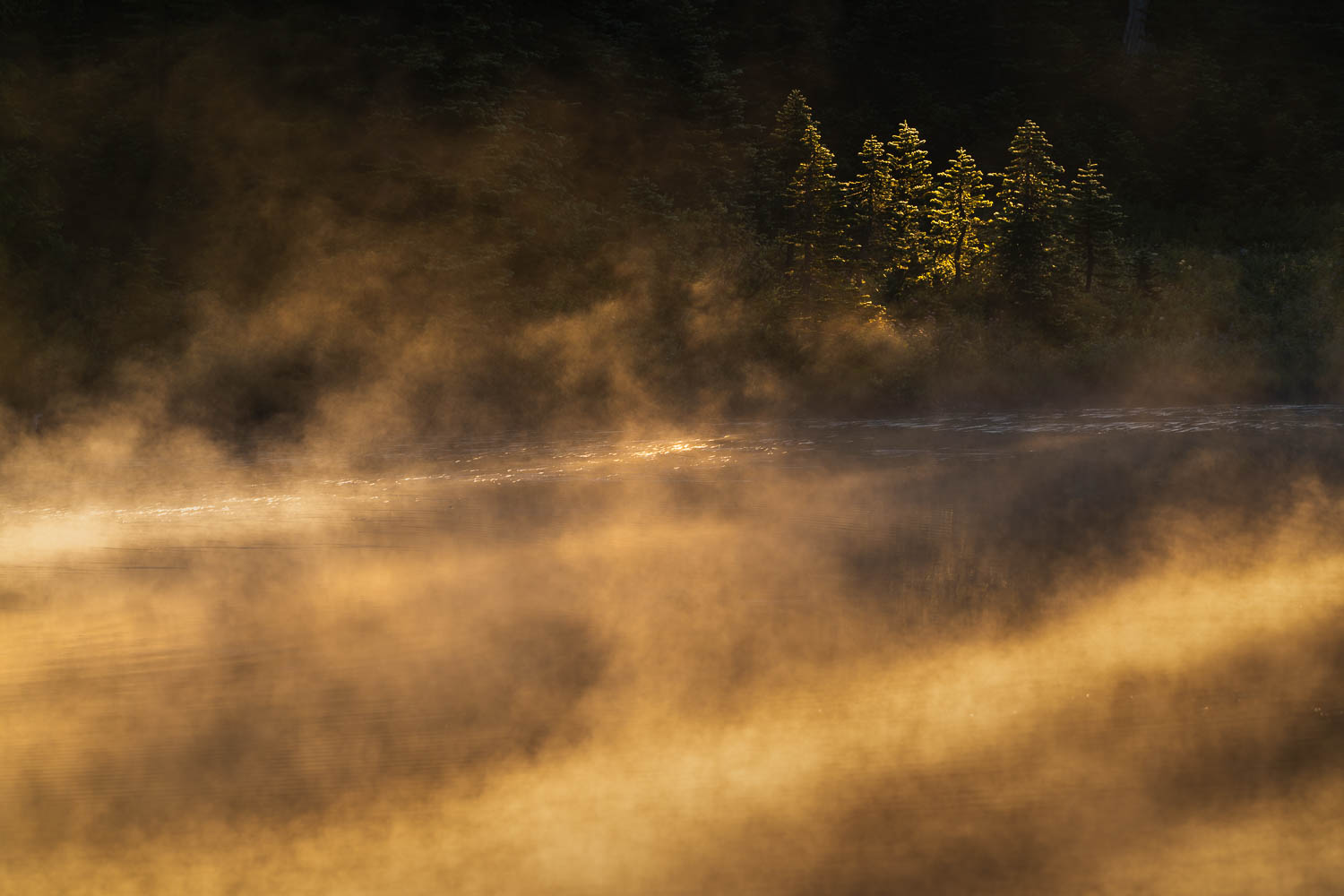 The Light Divides golden sunlight on mist rising on lake surface and distant trees