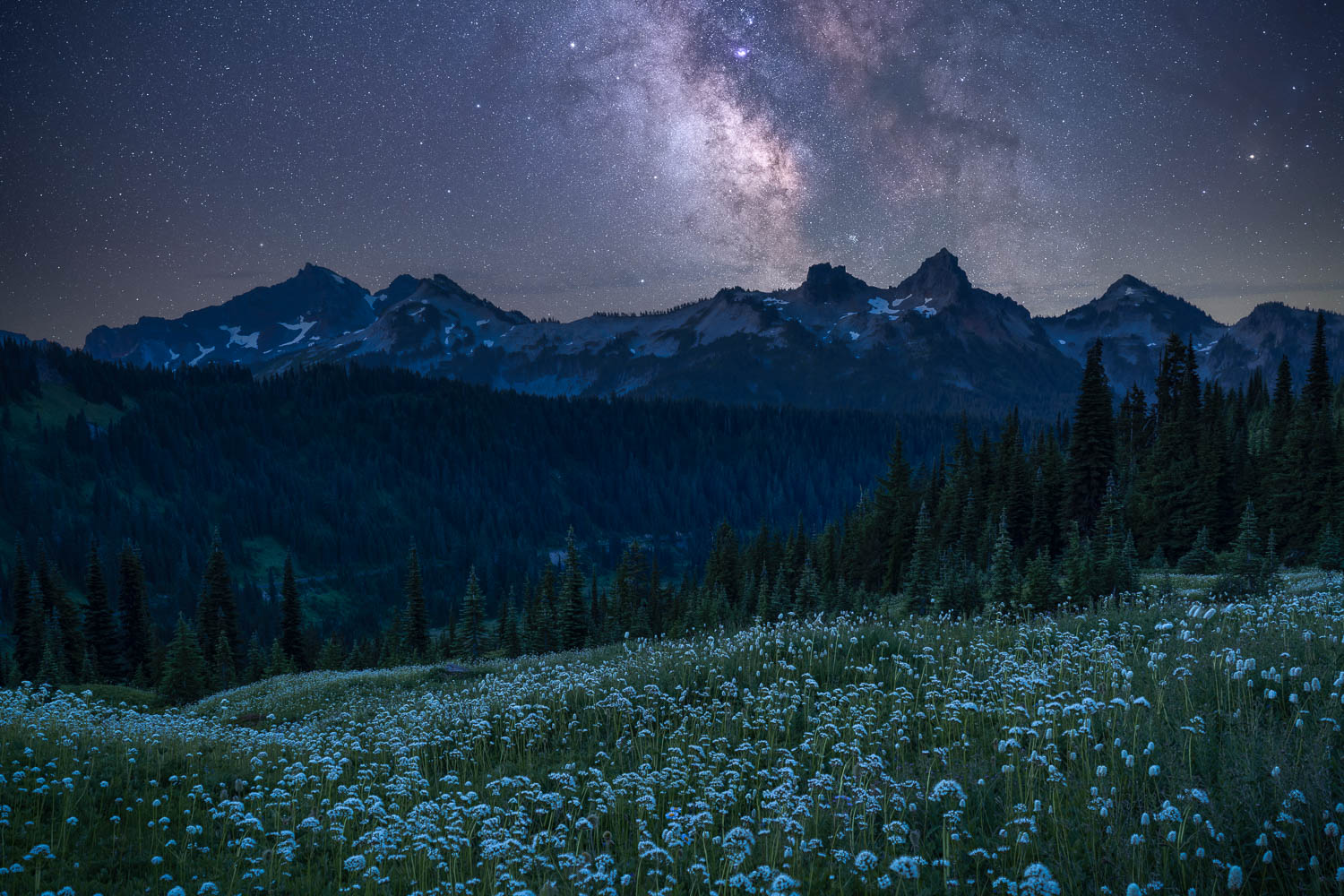 Tatoosh-White-Flower-Meadow-Milky-Way